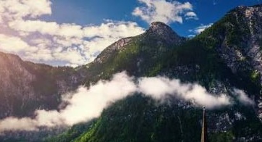资源对接互助区 - 爱情岛论坛 - 解决行业资源痛点的互助对接社区