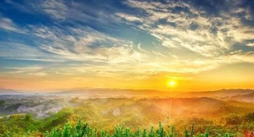 热点企划复盘区 - 爱情岛论坛 - 爆款短视频影视案例深度复盘专区